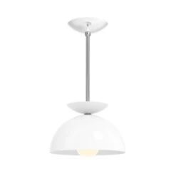 Color Echo Pendant 10" 39 Color Echo Pendant 10" -Cozy Light World 1 echo pendant 10 nickel white