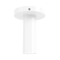 Color Reader Flush Mount -Cozy Light World 1 reader flush mount nickel white