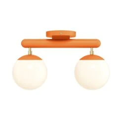 Color Icon 2 Flush Mount -Cozy Light World 10 icon flush mount 2 brass orange