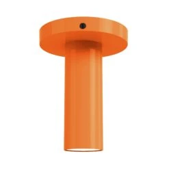 Color Reader Flush Mount -Cozy Light World 10 reader flush mount black orange a824fbaf 689a 4911 89e3 01700e237719