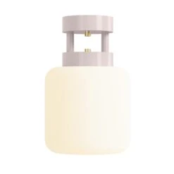 Color Maxo Flush Mount 8" 38 Color Maxo Flush Mount 8" -Cozy Light World 12 maxo flush mount 8 brass barely