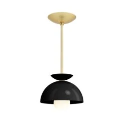 Color Echo Pendant 8" 36 Color Echo Pendant 8" -Cozy Light World 13 echo pendant 8 brass black