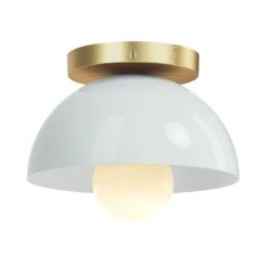 Color Hemi Flush Mount 8" -Cozy Light World 2 hemi flush mount 8 brass chalk