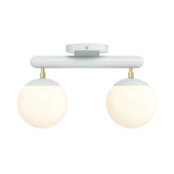 Color Icon 2 Flush Mount -Cozy Light World 2 icon flush mount 2 brass chalk