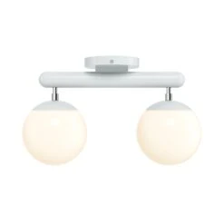 Color Icon 2 Flush Mount -Cozy Light World 2 icon flush mount 2 nickel chalk