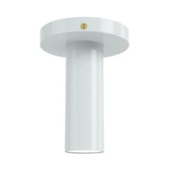 Color Reader Flush Mount -Cozy Light World 2 reader flush mount brass chalk