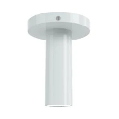 Color Reader Flush Mount -Cozy Light World 2 reader flush mount nickel chalk