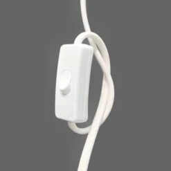Plug-in Cords And Switches