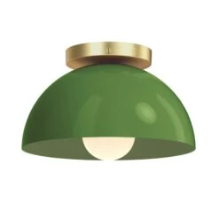 Color Hemi Flush Mount 10" 30 Color Hemi Flush Mount 10" -Cozy Light World 5 hemi flush mount 10 brass pythongreen