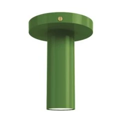 Color Reader Flush Mount -Cozy Light World 5 reader flush mount brass pythongreen