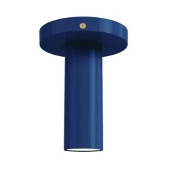 Color Reader Flush Mount -Cozy Light World 7 reader flush mount brass cobalt