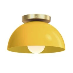 Color Hemi Flush Mount 10" 34 Color Hemi Flush Mount 10" -Cozy Light World 9 hemi flush mount 10 brass ochre
