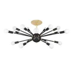 Color Elliptical Sputnik Flush Mount -Cozy Light World sputnik flush mount elliptical brass black 1
