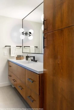 Visage Sconce 6" -Cozy Light World visage globe sconce black bathroom vanity lighting by dutton brown space by mcdonald remodeling 3